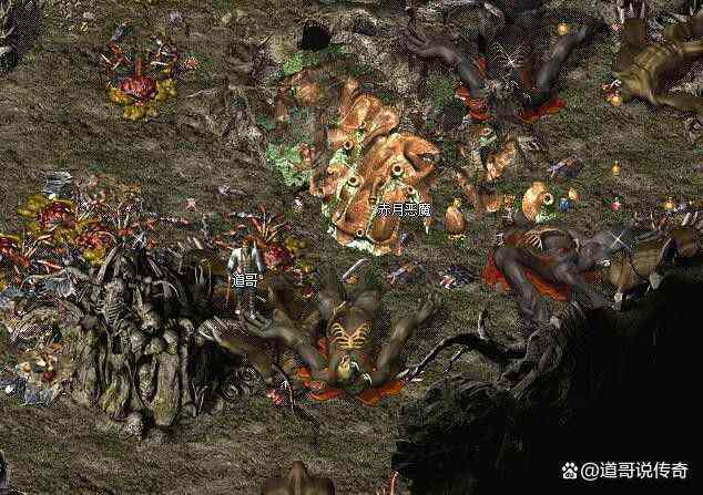 天下传世新服传奇开局攻略：老鸟带你稳扎稳打闯玛法